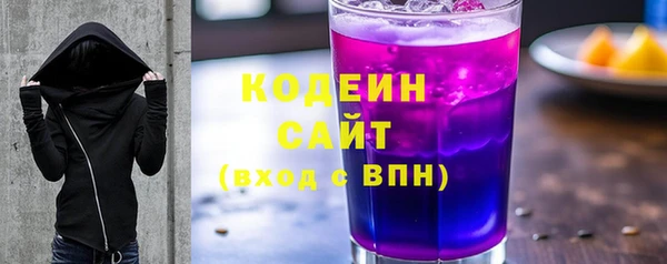 хмурый Гусев