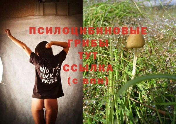 прущая мука Гусиноозёрск