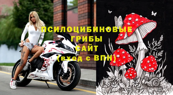 прущая мука Гусиноозёрск