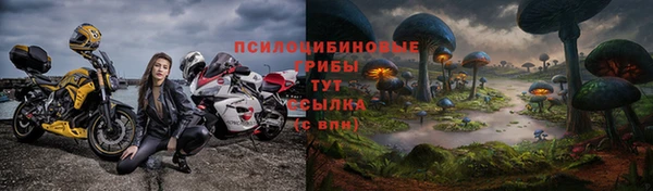 MESCALINE Гусь-Хрустальный