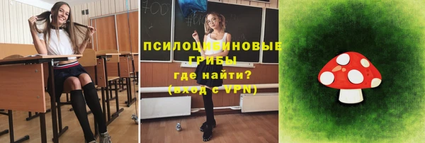 прущая мука Гусиноозёрск